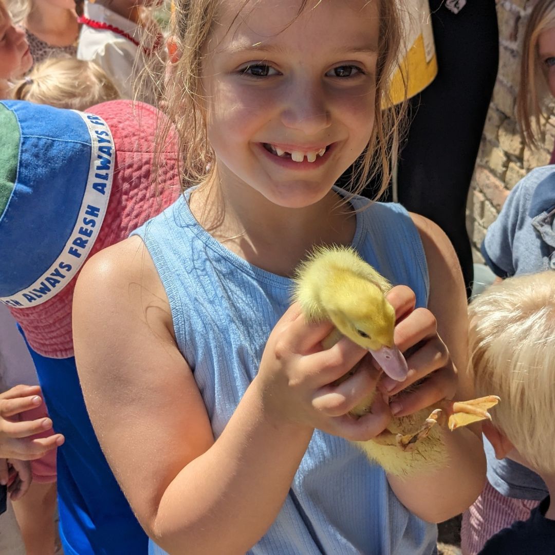 Afbeelding van Boerderijkamp 2026 (Kleuterkamp)