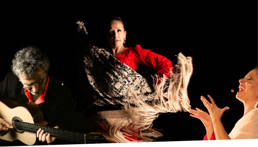 Flamencompleto
